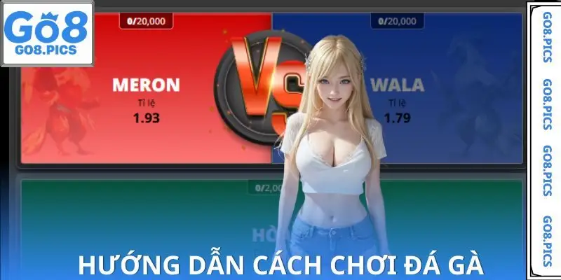 Hướng dẫn vài cửa cược Đá Gà GO8 cho người chơi lựa chọn