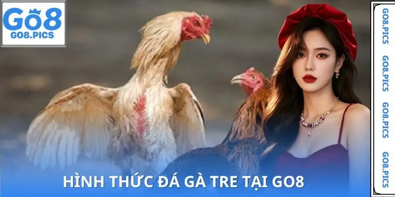 Những hình thức đá gà tre tại nhà cái đang thịnh hành