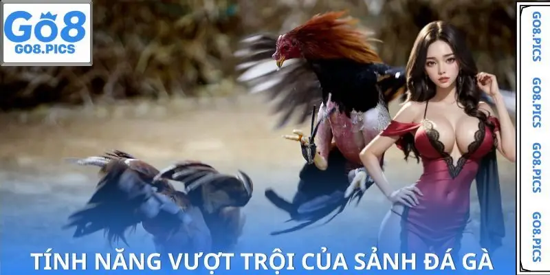 Giới thiệu những tính năng vượt trội của đá gà hiện đại