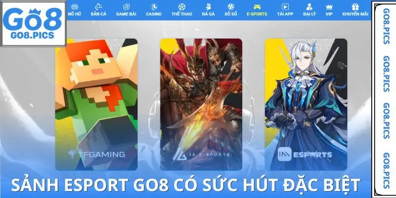 Điều khiến sảnh Esport GO8 trở nên khác biệt