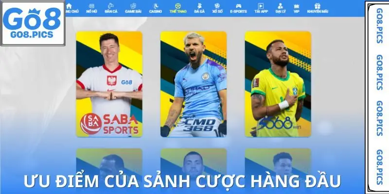 Lý do khiến thể thao GO8 được yêu thích hàng đầu